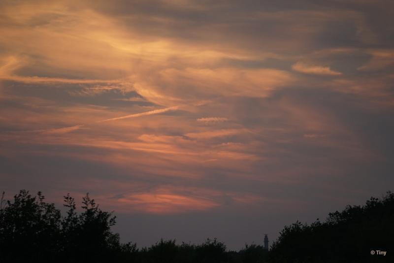 bdFoto 39.JPG - Zoutelande